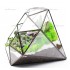 Геометрический флорариум "Diamond mini" с суккулентами