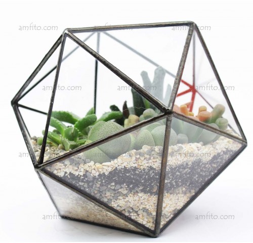 Геометрический флорариум "Grain mini" с суккулентами 